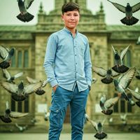 safeer.khan.sms