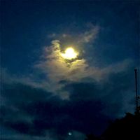 オリジナル楽曲 - @🍊