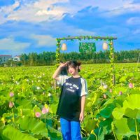 nhạc nền - 👉Paj🌷