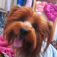 mundodeteddy