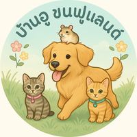 pure_kal2