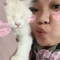 phatcharirungkamc