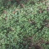 co2_2351