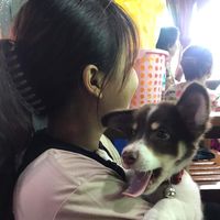 boih63