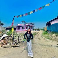 jennie_s_lama_9