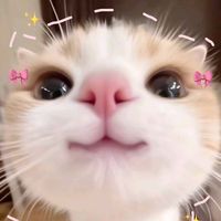 otpkeo183