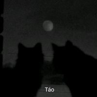 nhạc nền - Táo🍏