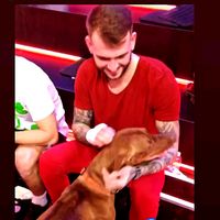 _heno_kulko_fanpage
