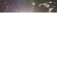 velourframee