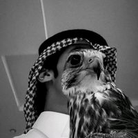 الصوت الأصلي