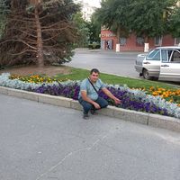 mensim228