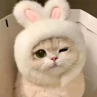 original sound - aneilzaid