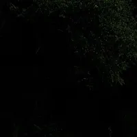 original sound - _tansykhovvv_