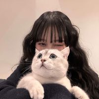 オリジナル楽曲 - ︎︎