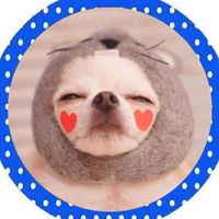 オリジナル楽曲 - まるぴ