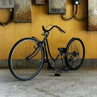 okinawa_shakotan