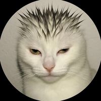 rickyjiz1