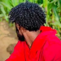 original sound - sikofalchiisu