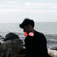 dis___story