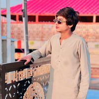 aneesali0295