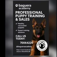 bagueraacademy