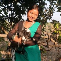 parmilamurmu28