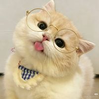 tularatthungkaew9