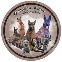 mydogclassic