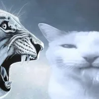 original sound - r1azo_