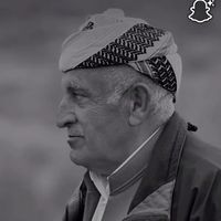 telimsalim