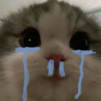 jaymess8