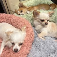 jerryandkids