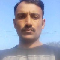 gul.m74