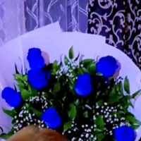genceli_622