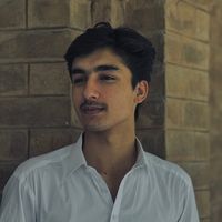 tauqeer_alii