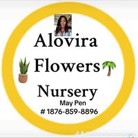 aloviraflowersnursery