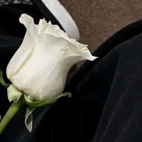 original sound - khinhninthet505