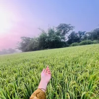 original sound - rimi.562