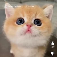 original sound - hael.sandboy7