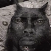 Gambare Gambare Sempia