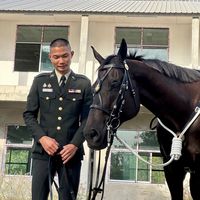 kittiphod_04