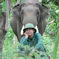 khang.elephant