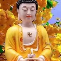 nhạc nền - Tiến Khoa