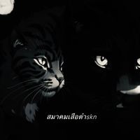 เสียงต้นฉบับ - 🥷ส.เสือดําskn🖤🕋
