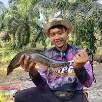 suara asli - Fitra eka