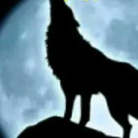 original sound - feud516