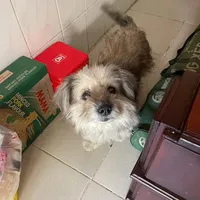 original sound - mkcoffee270