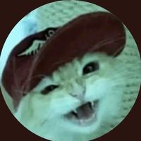 nhạc nền - 𐙚ebe mun🪷