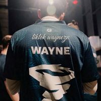 waynezn