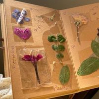 nhạc nền - Kevin Weber